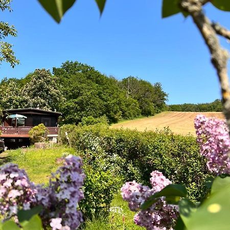 Ferienhaus Zittertal Neustadt Harz Haus I Villa Harztor ภายนอก รูปภาพ