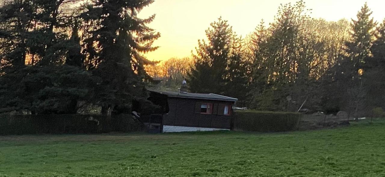 Ferienhaus Zittertal Neustadt Harz Haus I Villa Harztor ภายนอก รูปภาพ