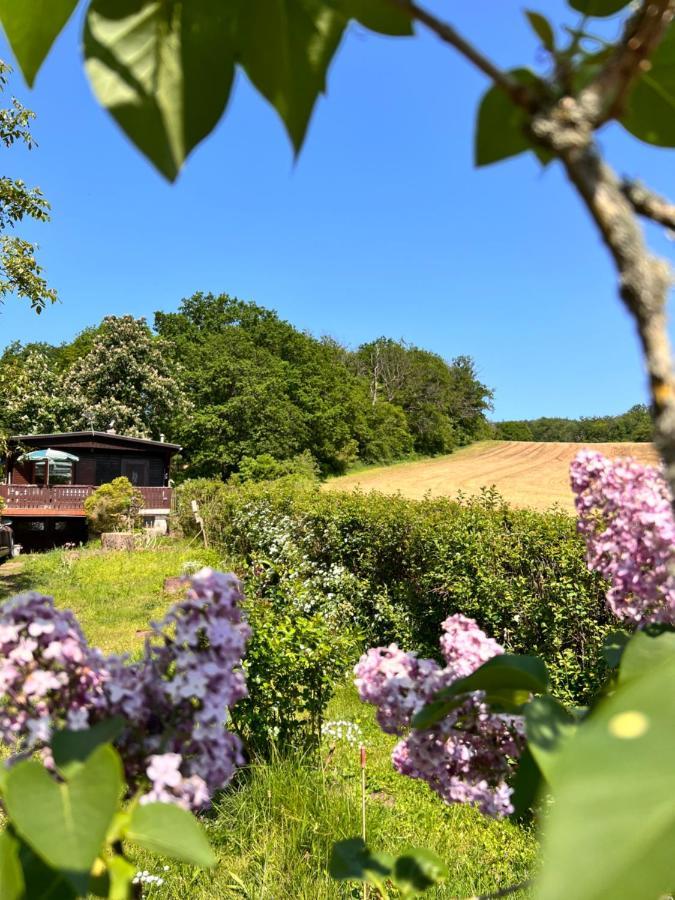 Ferienhaus Zittertal Neustadt Harz Haus I Villa Harztor ภายนอก รูปภาพ